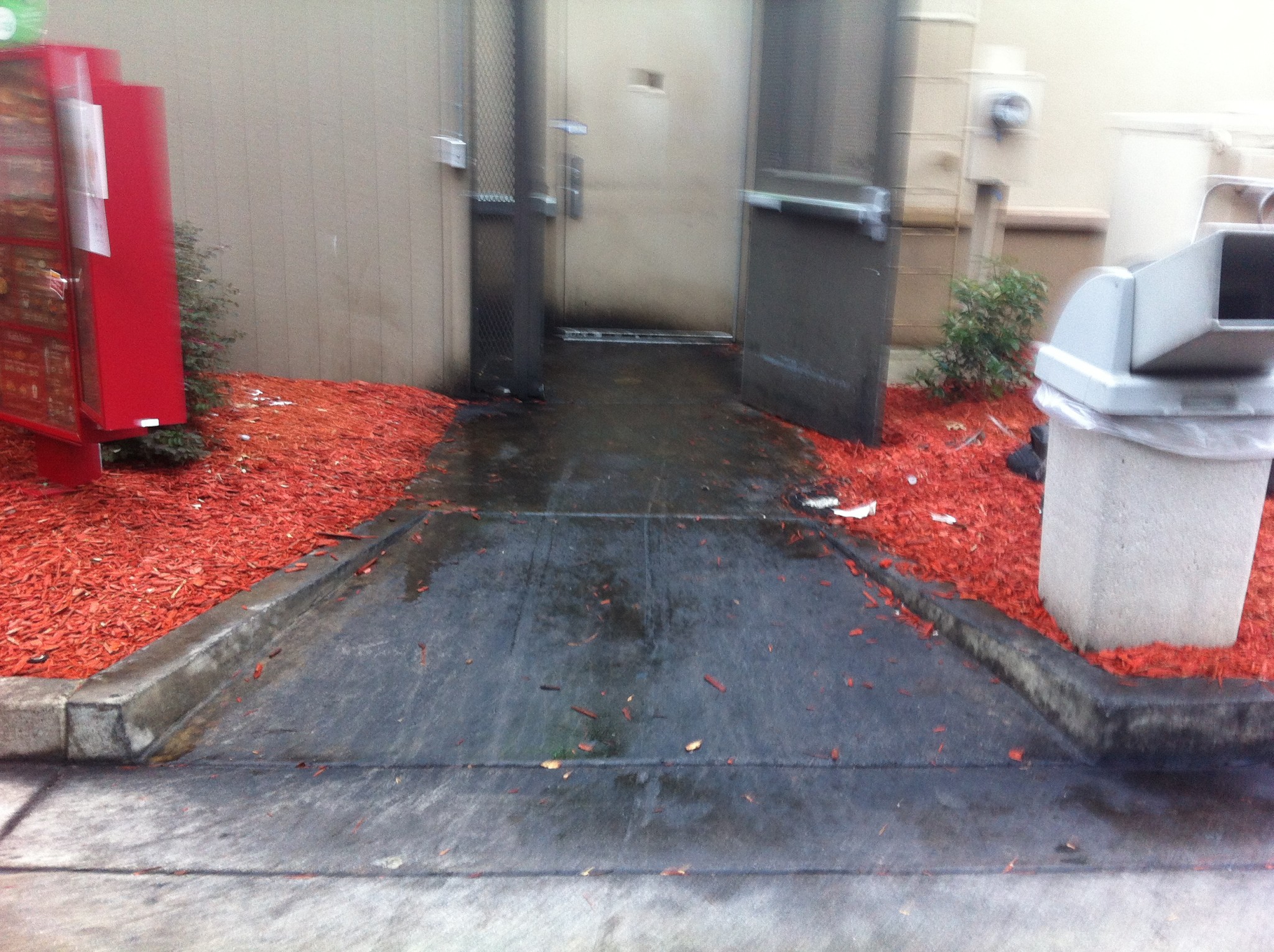 Dumpster Area Cleaning Chicago Before