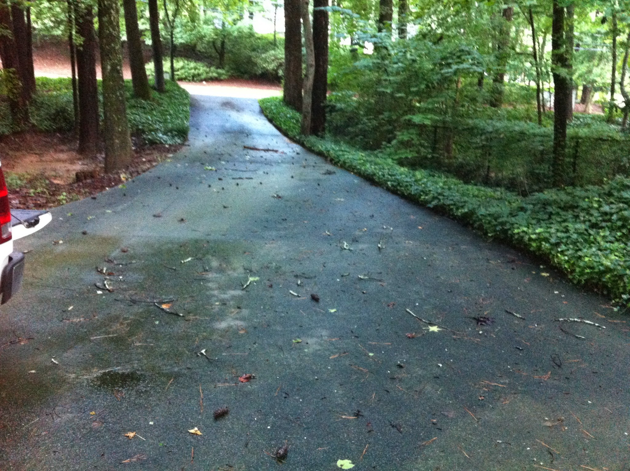 Driveway Pressure Washing Chicago Before