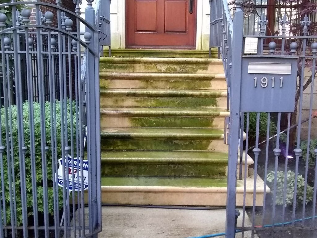 Biologic Growth Chicago